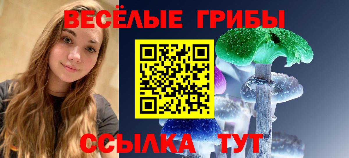 Псилоцибиновые грибы прущие грибы Хабаровск