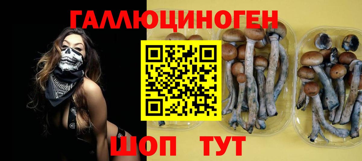 Хабаровск  Галлюциногенные грибы Psilocybine cubensis  Вход с VPN 